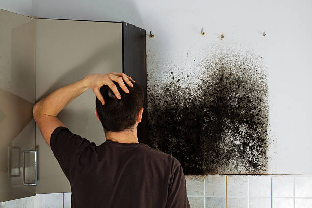 Best Residential Mold Removal  in Lake Dallas, TX